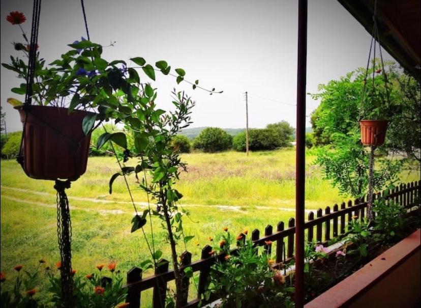The Happy Cottage Янина Екстериор снимка